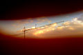 Red Orange Crane
