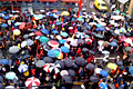 Umbrellas