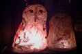 the owls